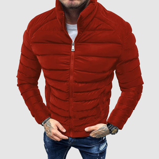 Herren Steppjacke Mit Tailliertem Schnitt | Übergangs