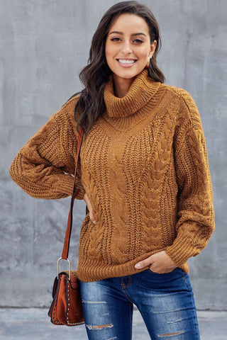 Damen Rollkragenpullover Mit Zopfmuster | Casual