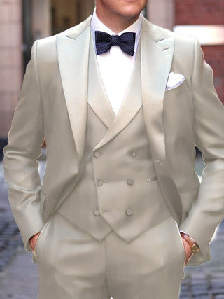 Herren Business Anzug Slim Fit Dreiteiler